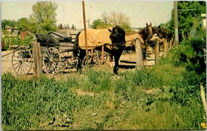 Postcard Ontario Elmira ON Municipal Parking Lot Mennonite Horses and Carriages - Picture 1 of 2