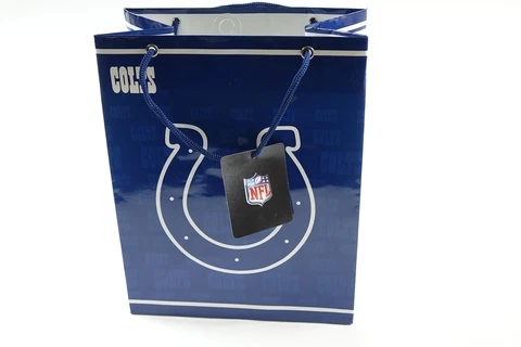 NFL Indianapolis Colts Gift Bag, Medium Cover
