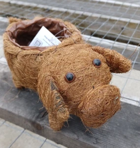 Maceta de fibra de coco de cerdo - Fibra de coco tejida en un marco de acero - se adapta a maceta de 4 pulgadas - Imagen 1 de 7