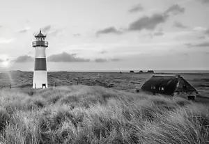 VLIES Fototapete-LEUCHTTURM-(11677)-Wiese Meer Ostsee Nordsee Gras Schwarz-Weiß - Bild 1 von 8