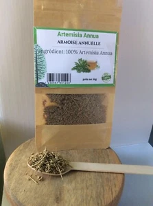 Artémisia Annua Armoise 100% Naturelle produit en France livraison rapide - Picture 1 of 2