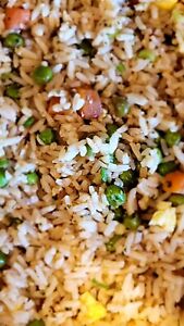 Beef Fried Rice Freeze Dried- Hunting/Camping/Hiking/Emergency/Disaster Food