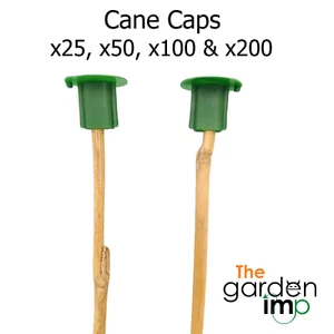 Cane Caps Plastic Eye Skin Safety Protector Toppers Garden Allotment Small Canes - Picture 1 of 4