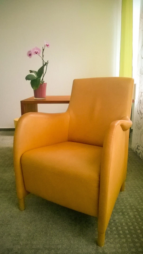 Bielefelder Werkstätten LEDERSESSEL Mondo - Bild 1 von 4