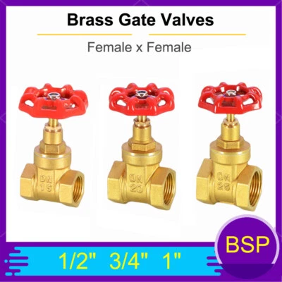 Brass Gate Valves With Red Handle 1/2" 3/4" 1" Female x Female Thread Gate Valve - Image 1 of 4
