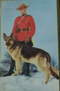 Vintage Playing Card Deck RCMP Royal Canadian Mounted Police Dog Congress  PL1 - Imagen 1 de 4
