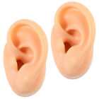 2 pièces boucles d'oreilles humaines modèle d'oreille pour piercing