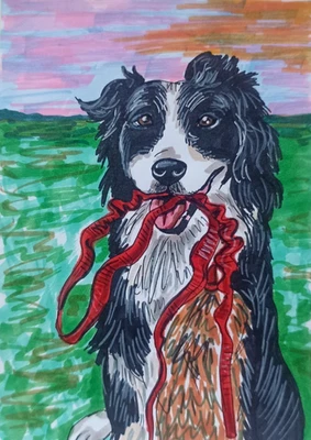 Border Collie Perro Retrato Animal Pintura Original Arte Pintado a Mano 5.5*4"" Foto 1 de 4