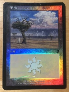 FOIL Plains Japanese Odyssey Eric Peterson #333 mtg MP - Picture 1 of 2