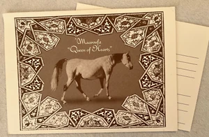 Egyptian Arabian Horse *Maaroufa- Babson Arabian Egyptian Event Card 2002 - Bild 1 von 2