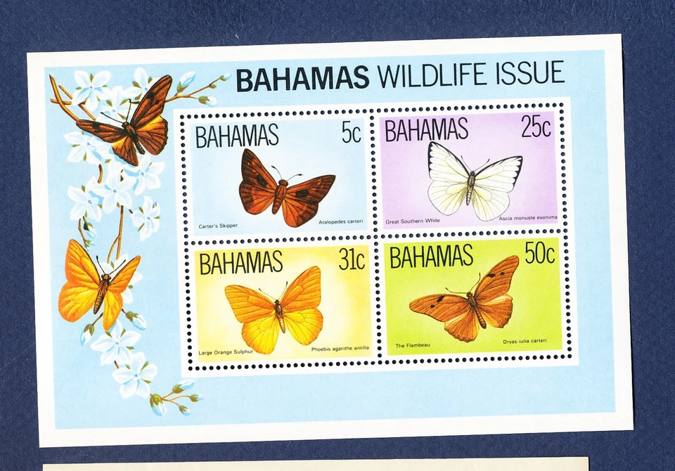 BAHAMAS- Scott 542a - MNH S/S - 蝴蝶 - 1983 - a — 第 1/1 张图片