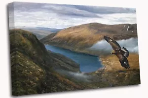 Stunning Scottish Eagle Soaring Highlands Canvas Print Wall Art - Picture 1 of 8