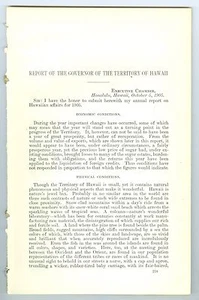 Seltener 1905, 89 Seiteniger Bericht des Gouverneurs des Territoriums HAWAII - Bild 1 von 7