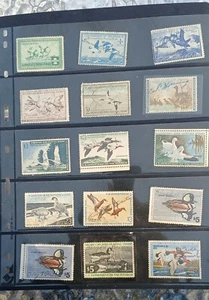 Collection of 24 + US Migratory Bird Hunting Stamps (Duck) RM 4 - RM 64 - Picture 1 of 13