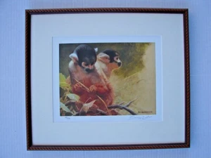 SQUIRREL MONKEY STUDY- John Seerey-Lester Limited Edition Prints # 97/150 FRAMED - Picture 1 of 11