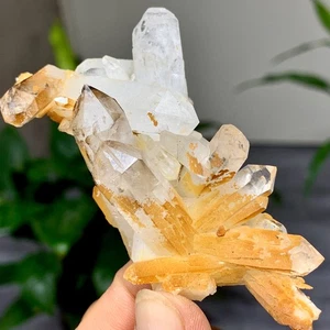 61G Natural Yellow Pineapple quartz cluster crystal specimen Healing - Picture 1 of 18