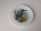 Glass Kingfisher Picture Plate - 25cm