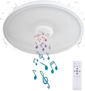 Smart Waterproof LED Ceiling Light Fixture,With Bluetooth Speaker,11 Inch,18 Wat - Picture 1 of 12