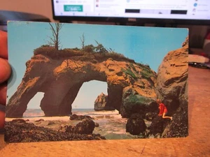 Antigua postal M25 del estado de Washington Coupeville Elephant Rock costa del océano Pacífico - Imagen 1 de 2