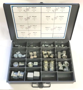 AF KIT-BSPP - 48 piezas Kit de tapa y enchufe BSPP (#2 - #16) - Imagen 1 de 3