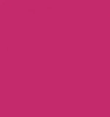 Calcomanía de vinilo 37,5" STINGRAY cantidad 2 (se adapta a Chevy CORVETTE C8 todas las Corbetas) Foto 1 de 4