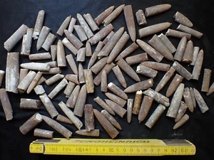 Belemnit, Belemniten, Donnerkeil, Teile, ca. 1 kg - Bild 1 von 9