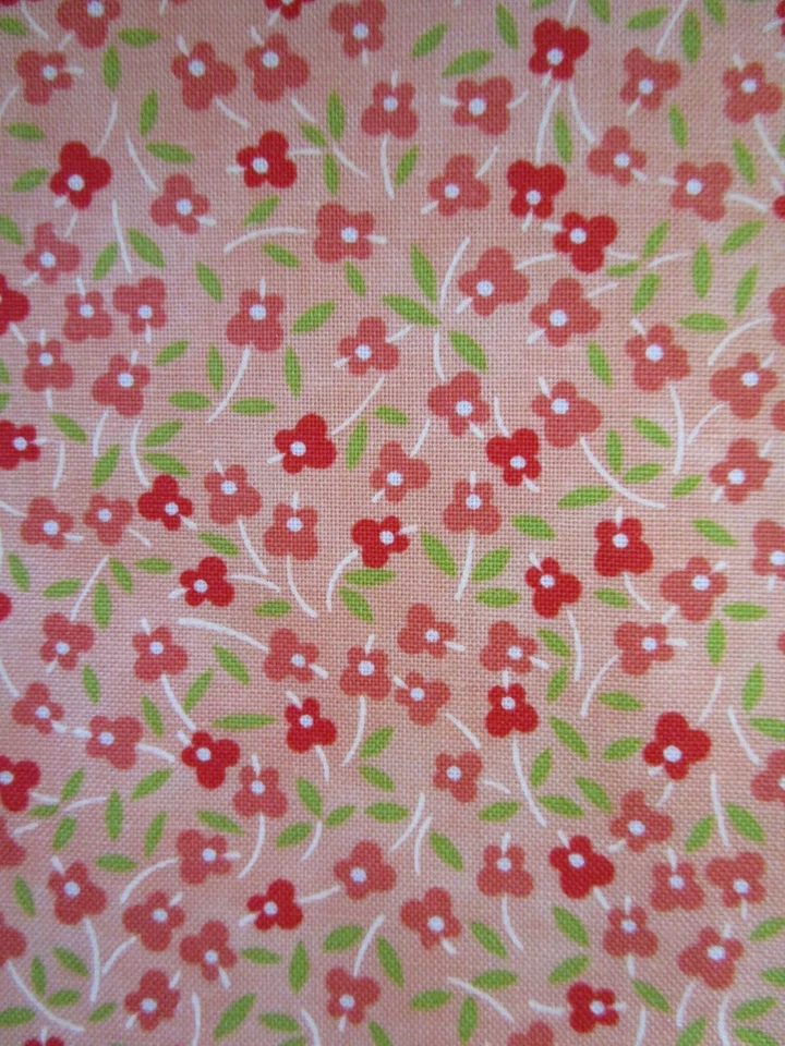 Moda FRESAS Y RUIBARBO 20402 12 Coral Melocotón Naranja HIGUERA Tela Edredón Foto 1 de 4