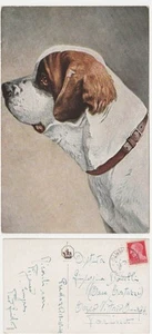 CANE - SPEDITA DA PREDAZZO - TRENTO - VIAGG. 1936 -26121- - Picture 1 of 1