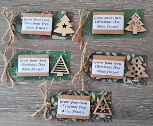 Christmas Cracker/Stocking Filler- Grow Your Own Christmas Tree Seed Packs x5🎄 - Picture 1 of 18