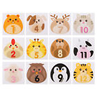 12 Pcs Stickers for Girls Infant Monthly Boy Newborn