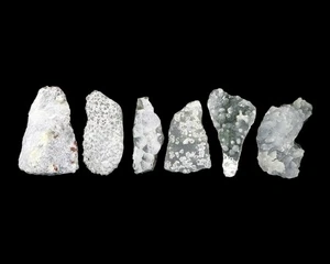 Minerales de calcedonia natural 6 especímenes India #M 711 - Imagen 1 de 2