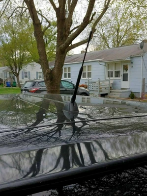 Antena de 9 pulgadas mástil de goma negro varilla de alimentación radio AM/FM para Scion xB 2008-2015 Foto 1 de 4