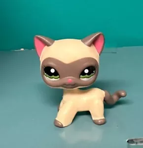 Hasbro Littlest Pet Shop #1116 Grey Masked Cream Cat LPS Short Hair Green Eyes - Picture 1 of 1