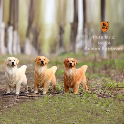 Mr.Z 1:6 Golden Retriever Dog Model Pet Animal Figure Collection Decor Toy Gift - Image 1 of 4