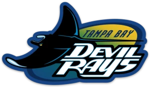 Tampa Bay Devil Rays Floating Devil Ray Logo Type MLB Baseball Die-Cut MAGNET - Picture 1 of 1