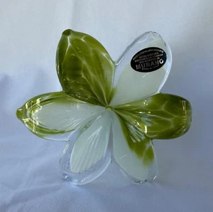Genuine Italian Flower Blown Glass Murano Green White Color Tones Italy No 677 - Picture 1 of 12