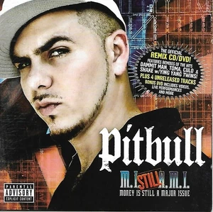 Pitbull - Money Is Still A Major Issue (2010 CD Album) - Picture 1 of 2