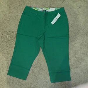Coldwater Creek, Bi Leg Slim Stretch Crop Pants, Green, Size: P14 - Picture 1 of 7