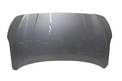 Capó Nissan Leaf 22 Foto 1 de 4