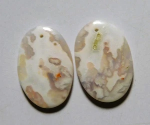 Par de piedras preciosas 26X17,5 mm de cabujón perforado pluma natural 29,90 quilates - Imagen 1 de 3