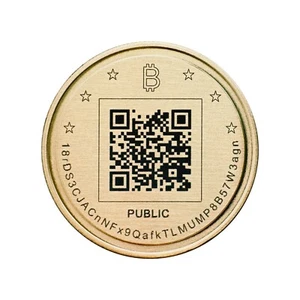 Cartera fría Bitcoin moneda de latón real espacio de aire almacenamiento criptográfico seguro fuera de línea EE. UU. - Imagen 1 de 10