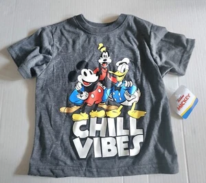DISNEY MICKEY AND FRIENDS CHILL VIBES BOYS SHORT SLEEVE T-SHIRT SIZE 4 GRAY - Picture 1 of 4