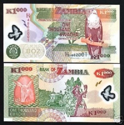 ZAMBIA 1000 KWACHA P-44 2008 x 1 Pcs GIRAFFE POLYMER MONEY UNC ZAMBIAN BANK NOTE - Image 1 of 3