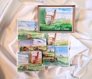 Sussex Hedgehog Gift Set: Includes illustrated Book, coasters, greeting cards - Picture 1 of 11