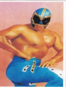 Mr. Niebla 2004 Las Estrellas De La Lucha Libre Album Stickers Card 192 CMLL AAA - Picture 1 of 24