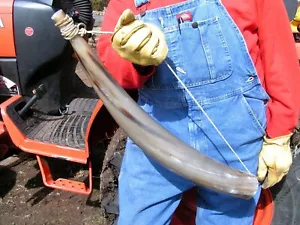 Western Cowboy Bugle Horn 1202 - Picture 1 of 12