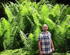 frostharter Riesenfarn Farn für den Garten bis 4 Meter ! Gartenfarne Adlerfarn - Bild 1 von 1