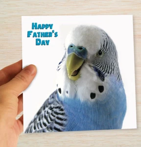 Tarjeta Budgie Día del Padre - Budgerigar Azul - Del Pájaro - Papá Abuelo Marido - Imagen 1 de 12