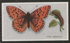 PHILLIPS-BRITISH BUTTERFLIES No.1 ISSUE 1911-#04- HIGH BROWN FRITILLARY