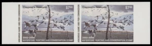 2002 Arkansas State Duck Stamp. Mint Never Hinged. OG Imperforated Pair - Picture 1 of 1